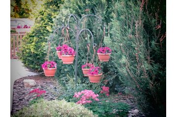 Alloggio presso privati Sárvár 20